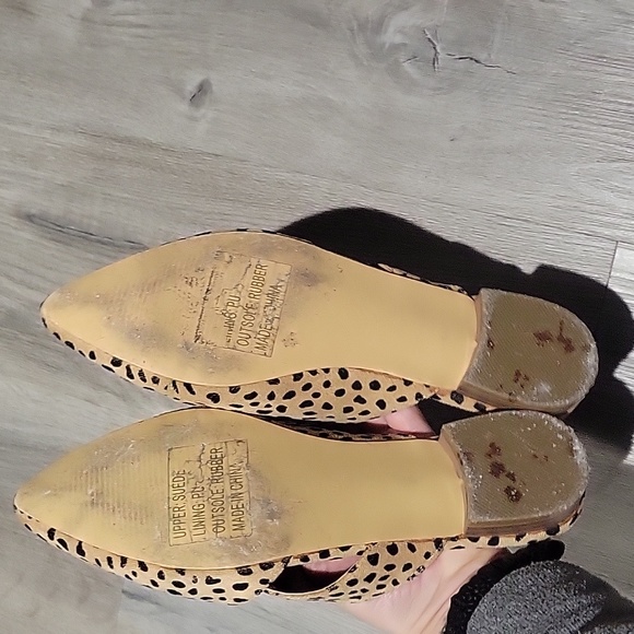 Queen George flats - Picture 3 of 3